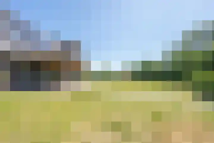 Oude Tielseweg 12 Buren thumbnail 29