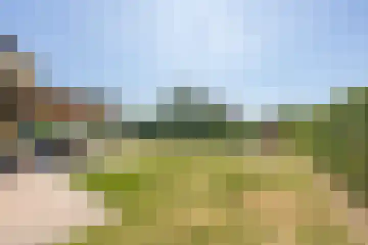 Oude Tielseweg 12 Buren thumbnail 31