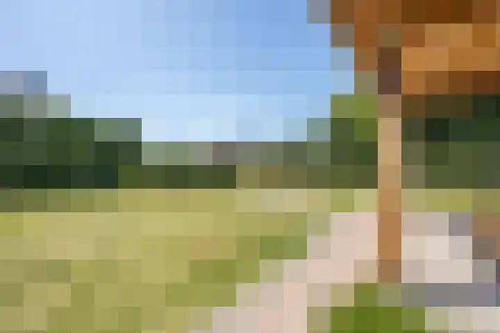 Oude Tielseweg 12 Buren thumbnail 36