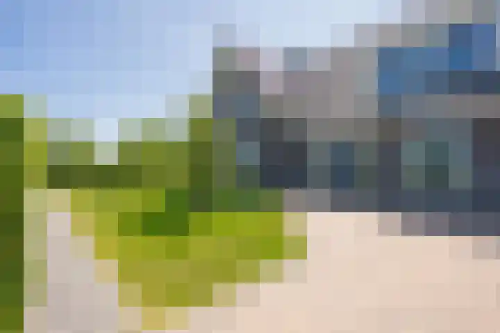 Oude Tielseweg 12 Buren thumbnail 37