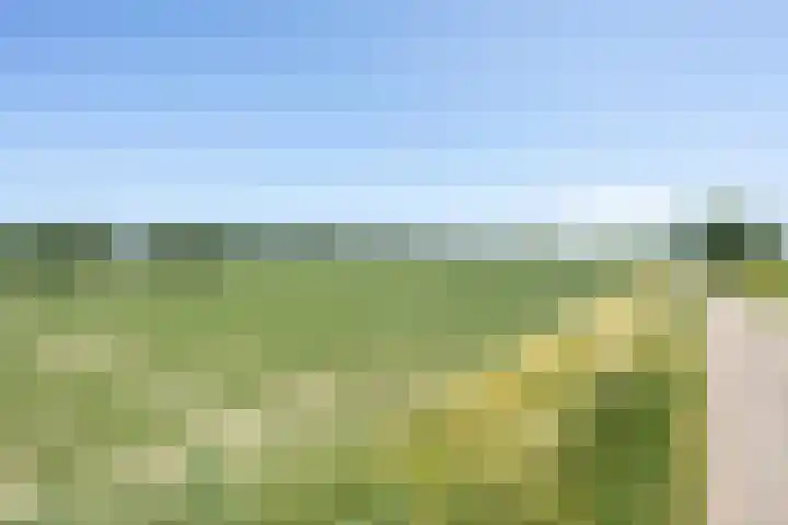 Oude Tielseweg 12 Buren thumbnail 5