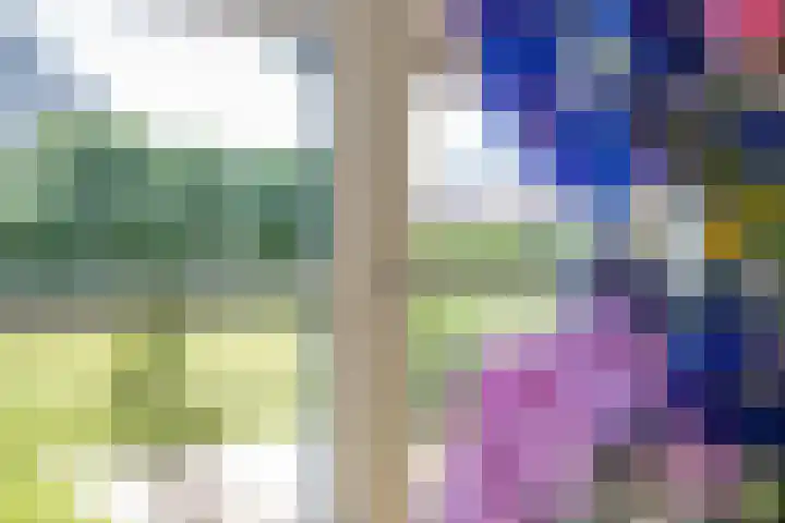 Oude Tielseweg 12 Buren thumbnail 51