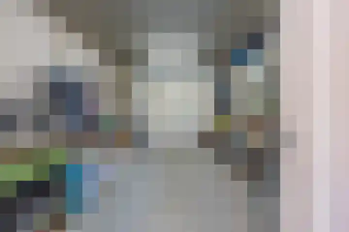 Oude Tielseweg 12 Buren thumbnail 66