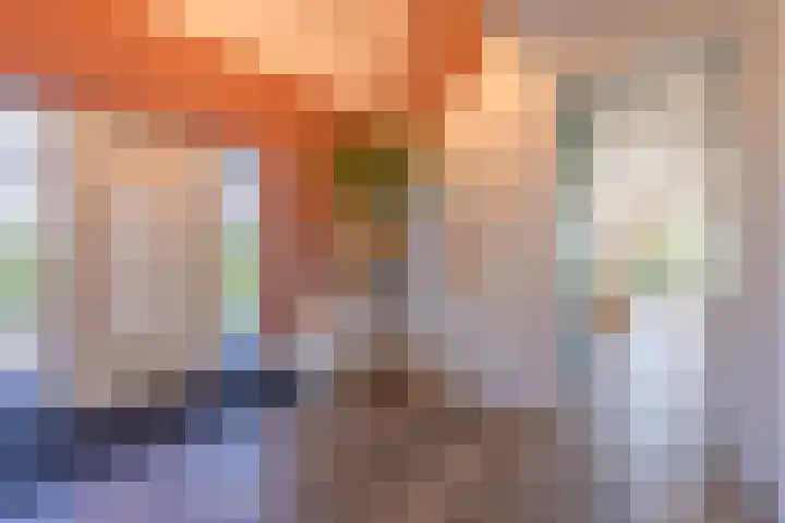 Oude Tielseweg 12 Buren thumbnail 69