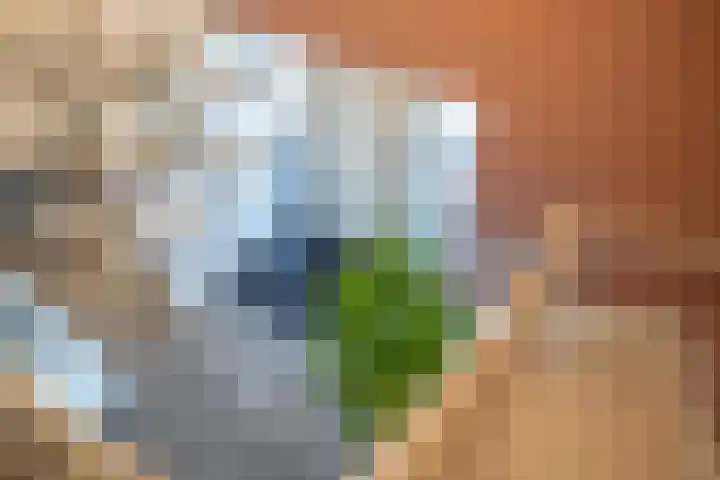Oude Tielseweg 12 Buren thumbnail 70