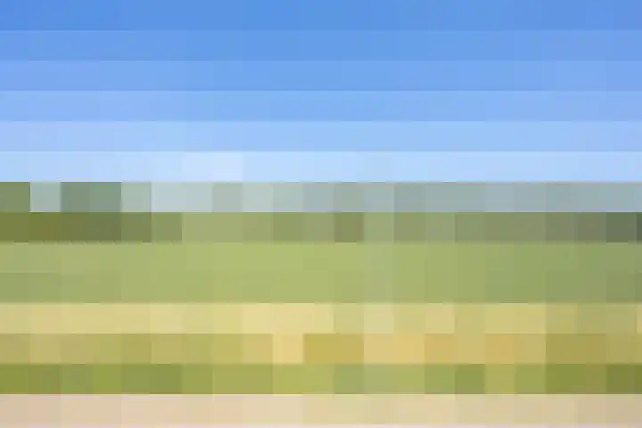 Oude Tielseweg 12 Buren thumbnail 74