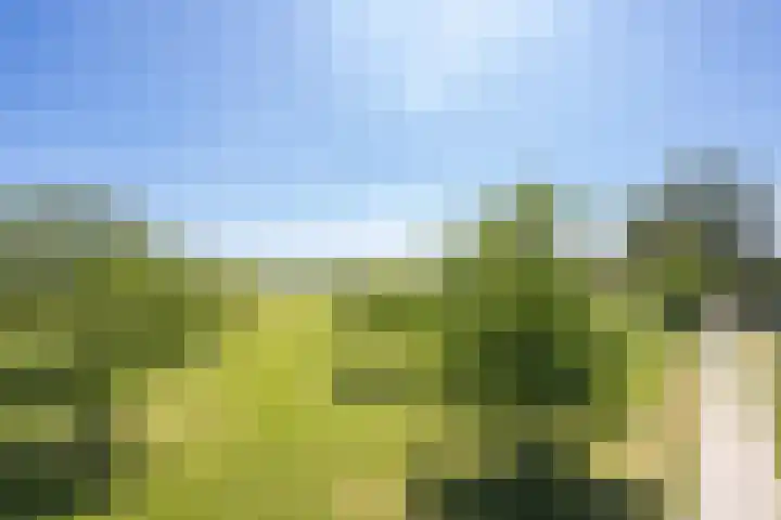 Oude Tielseweg 12 Buren thumbnail 8