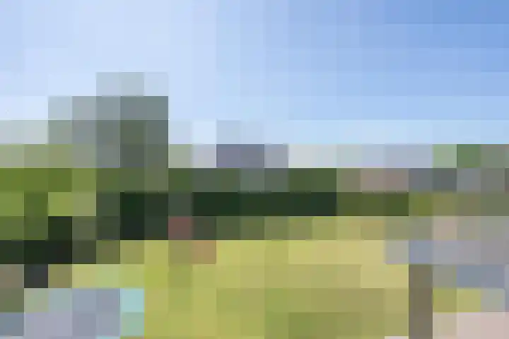 Oude Tielseweg 12 Buren thumbnail 88