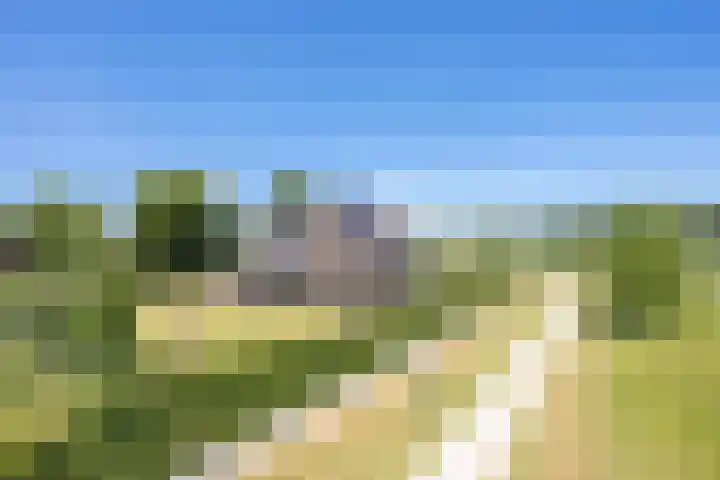 Oude Tielseweg 12 Buren thumbnail 9