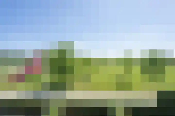 Oude Tielseweg 12 Buren thumbnail 93