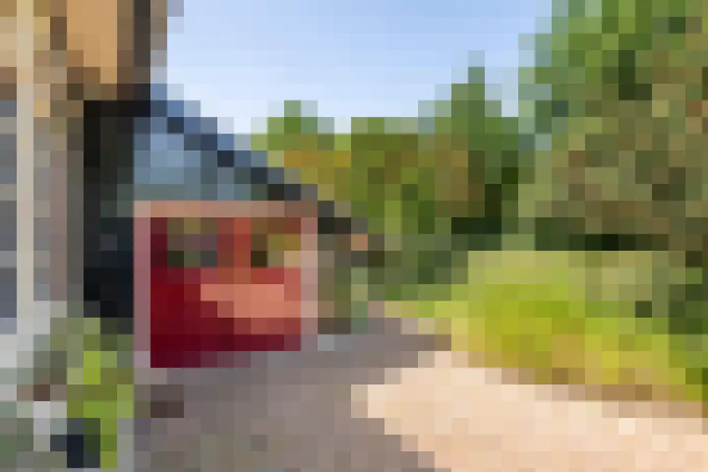 Oude Tielseweg 4 Buren thumbnail 10