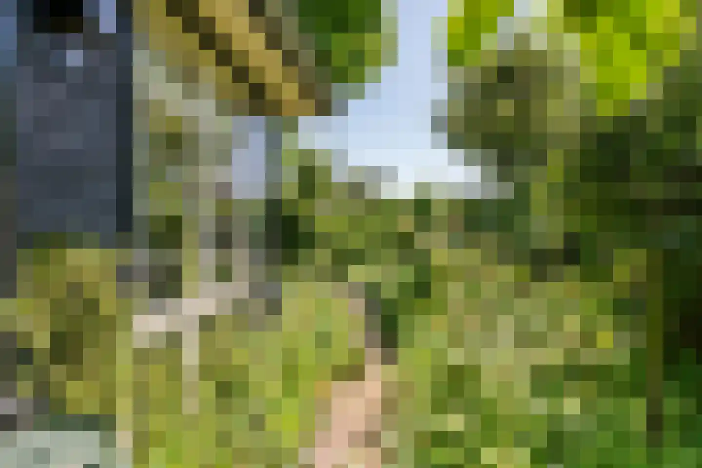 Oude Tielseweg 4 Buren thumbnail 11