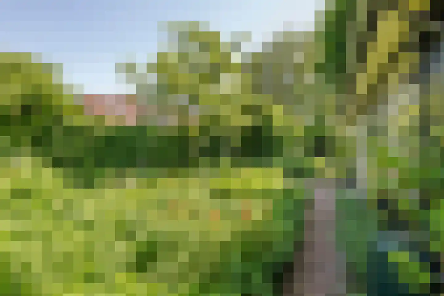 Oude Tielseweg 4 Buren thumbnail 12