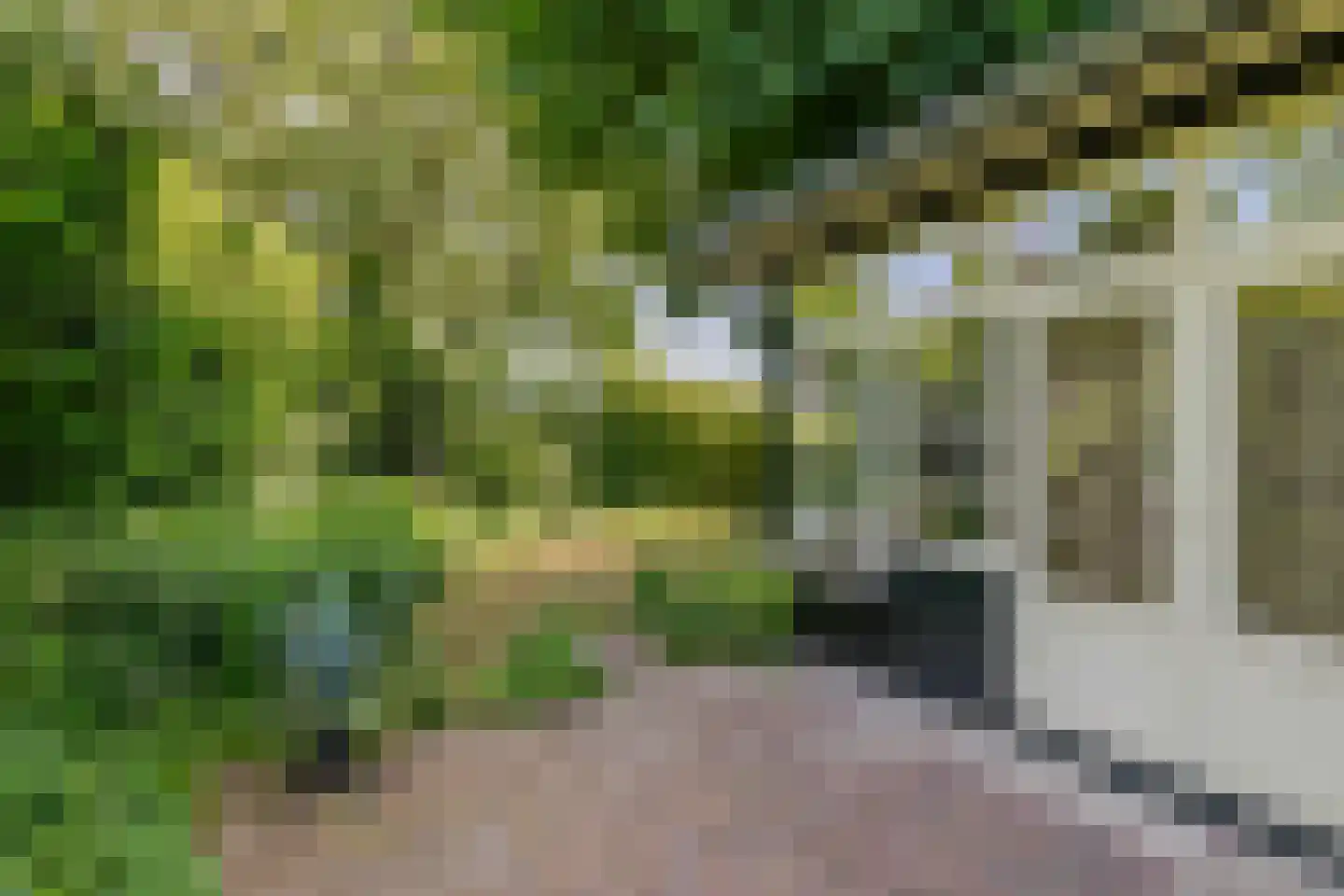 Oude Tielseweg 4 Buren thumbnail 14