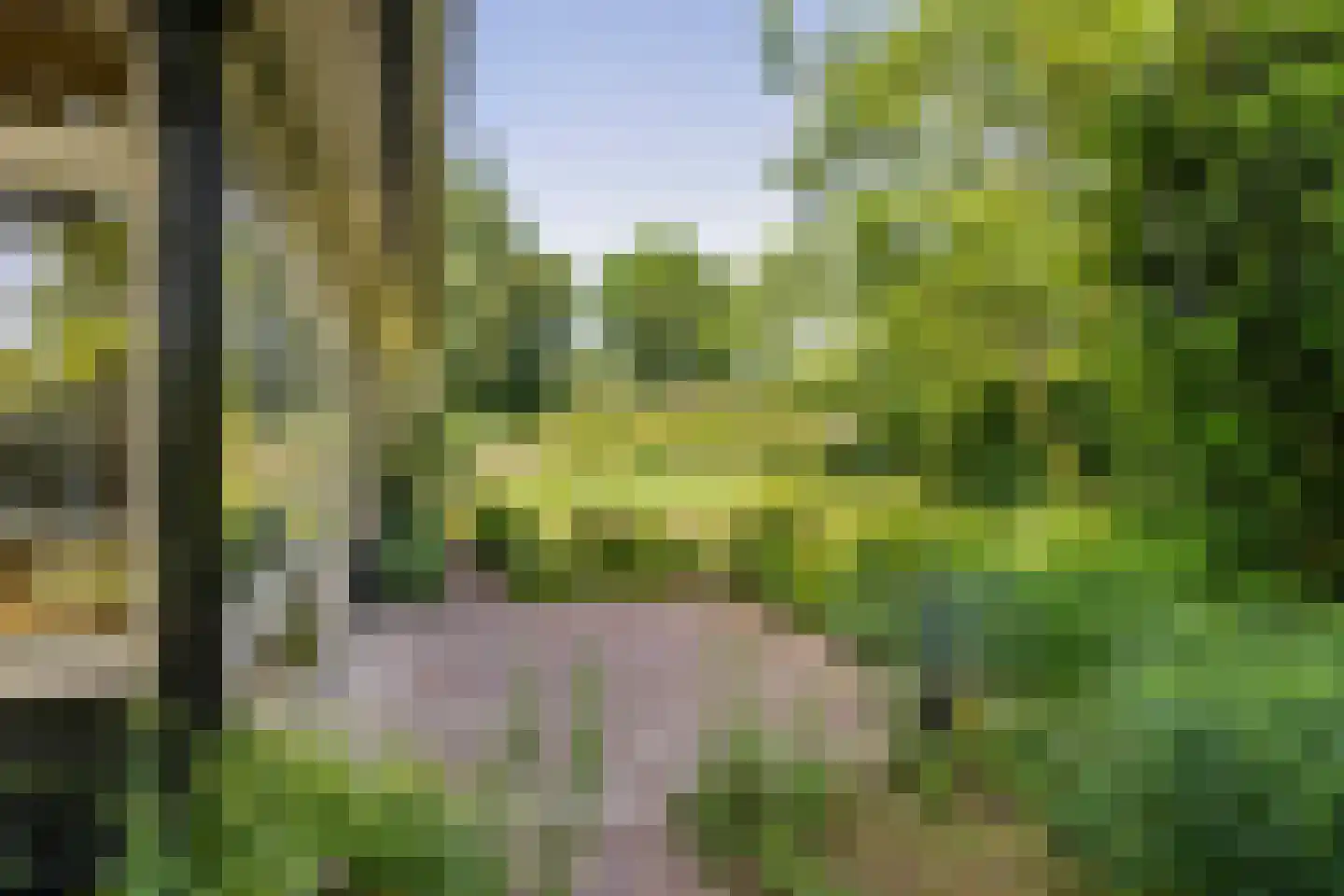 Oude Tielseweg 4 Buren thumbnail 15