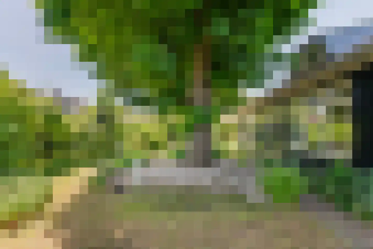 Oude Tielseweg 4 Buren thumbnail 16