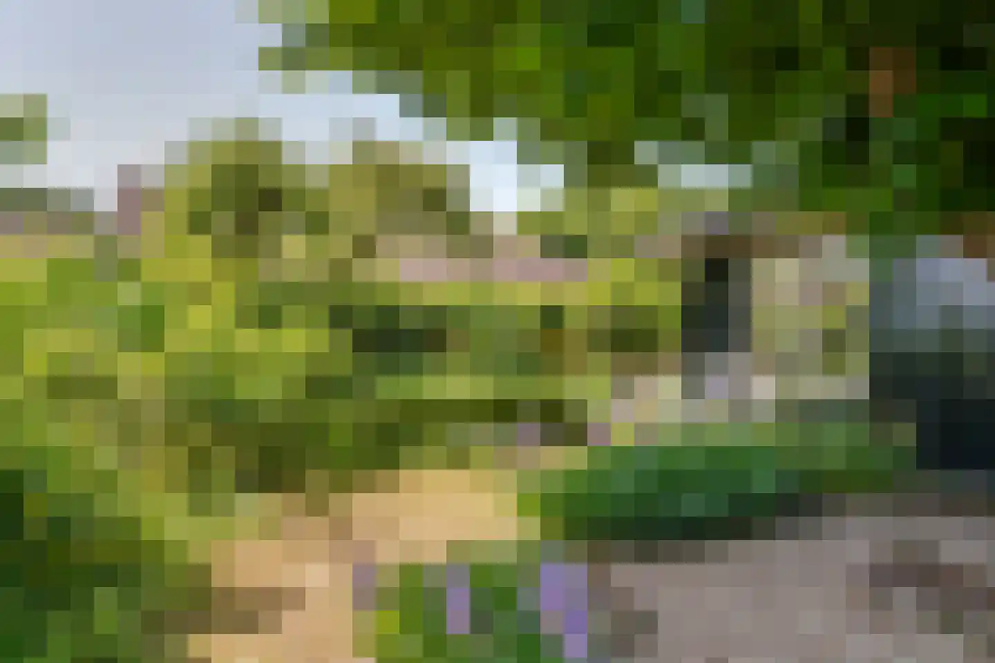 Oude Tielseweg 4 Buren thumbnail 17