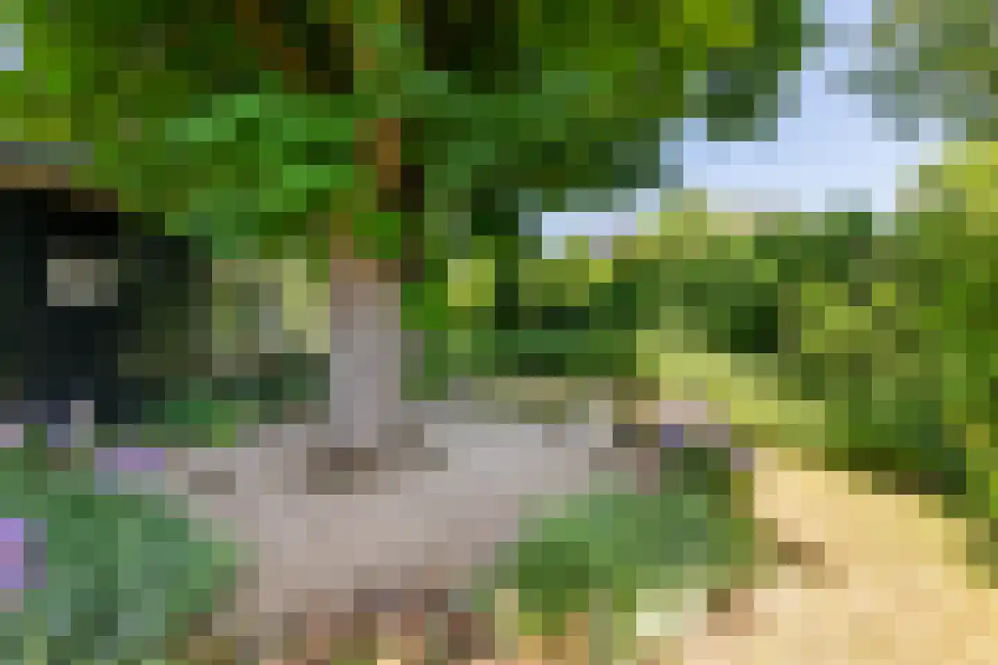 Oude Tielseweg 4 Buren thumbnail 18