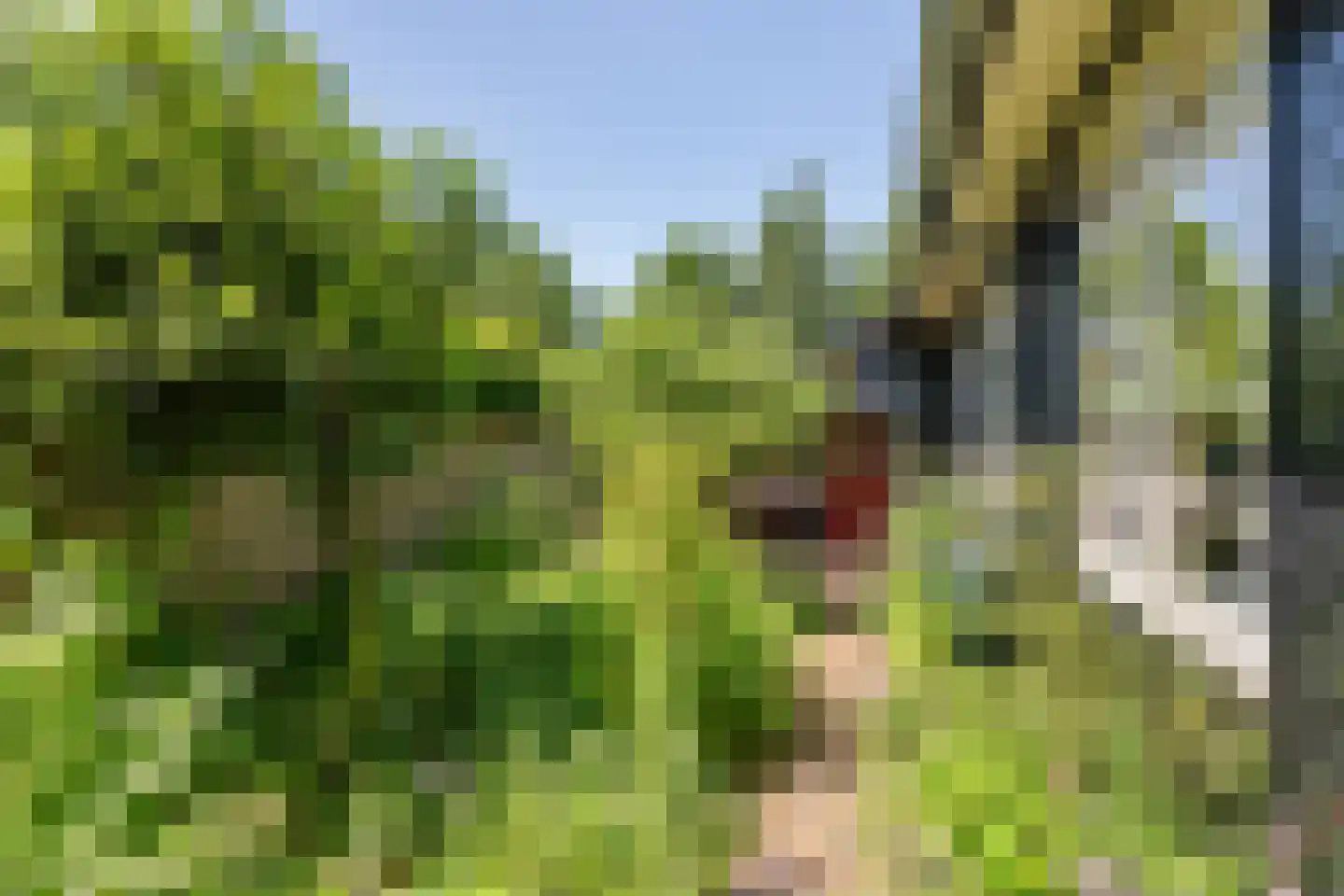 Oude Tielseweg 4 Buren thumbnail 19