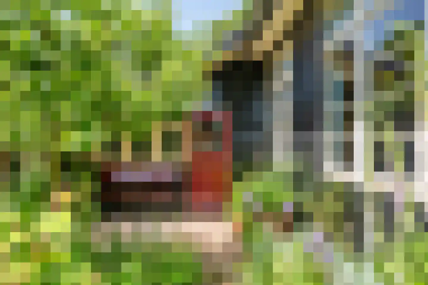 Oude Tielseweg 4 Buren thumbnail 20