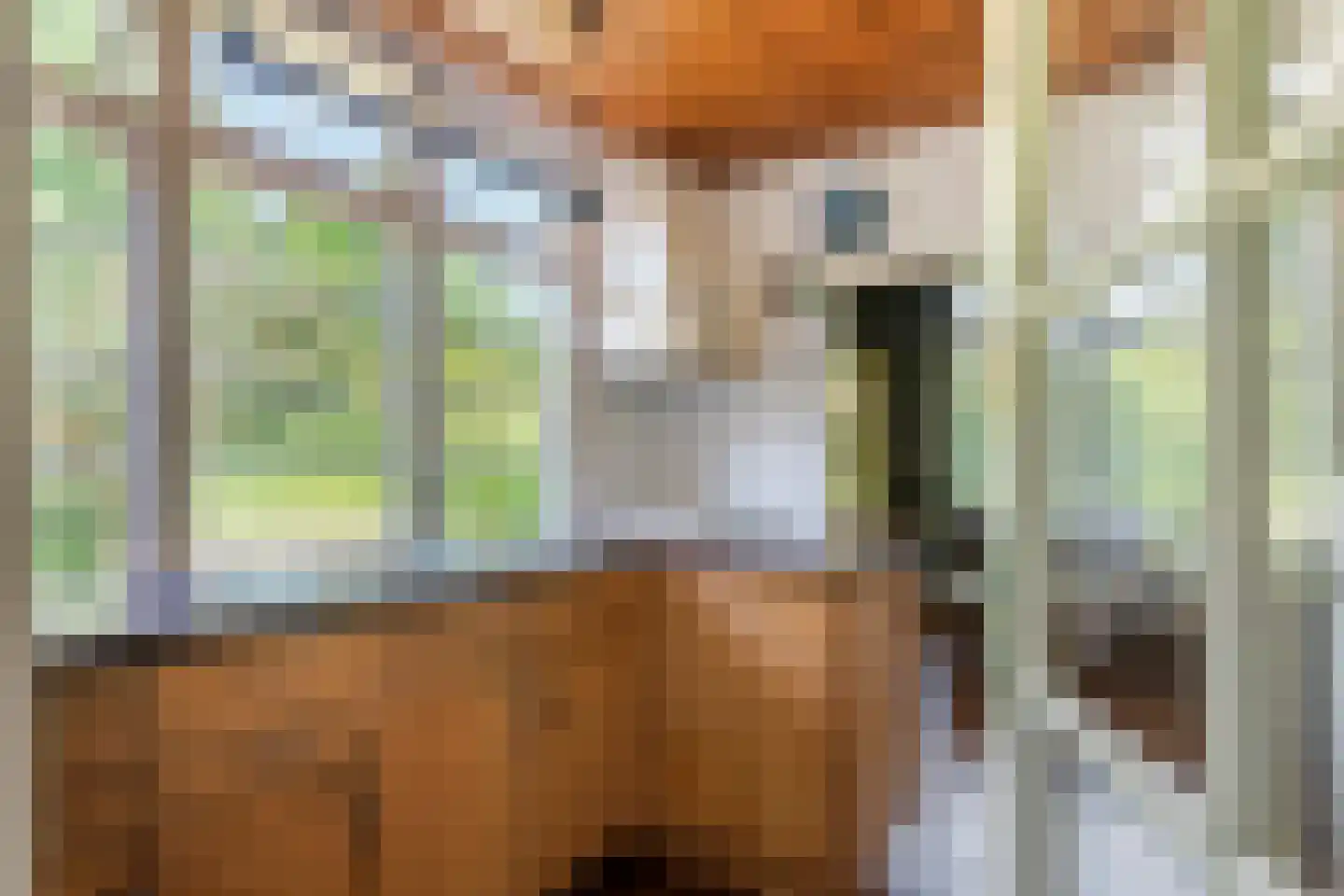 Oude Tielseweg 4 Buren thumbnail 24