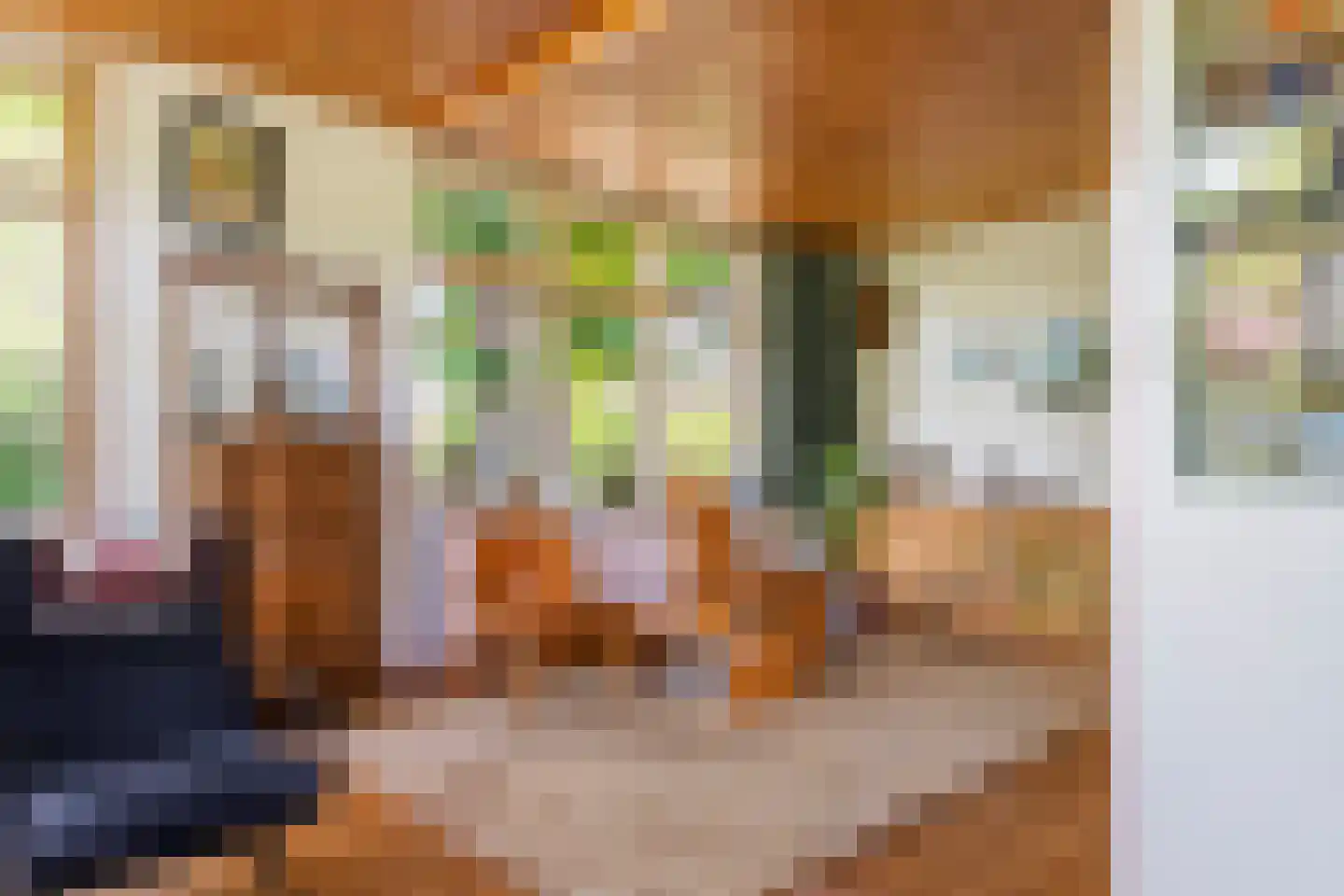 Oude Tielseweg 4 Buren thumbnail 30