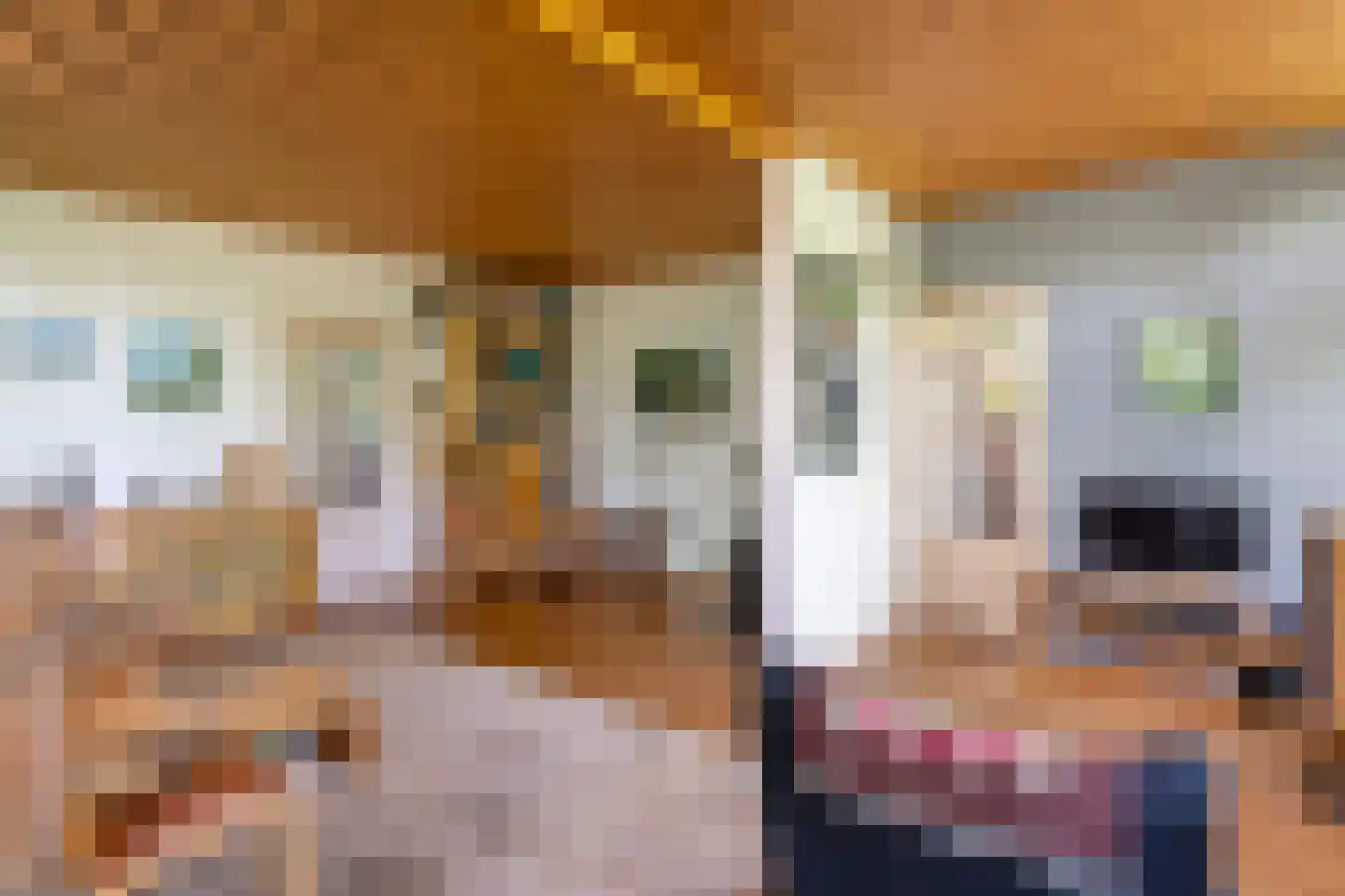 Oude Tielseweg 4 Buren thumbnail 31