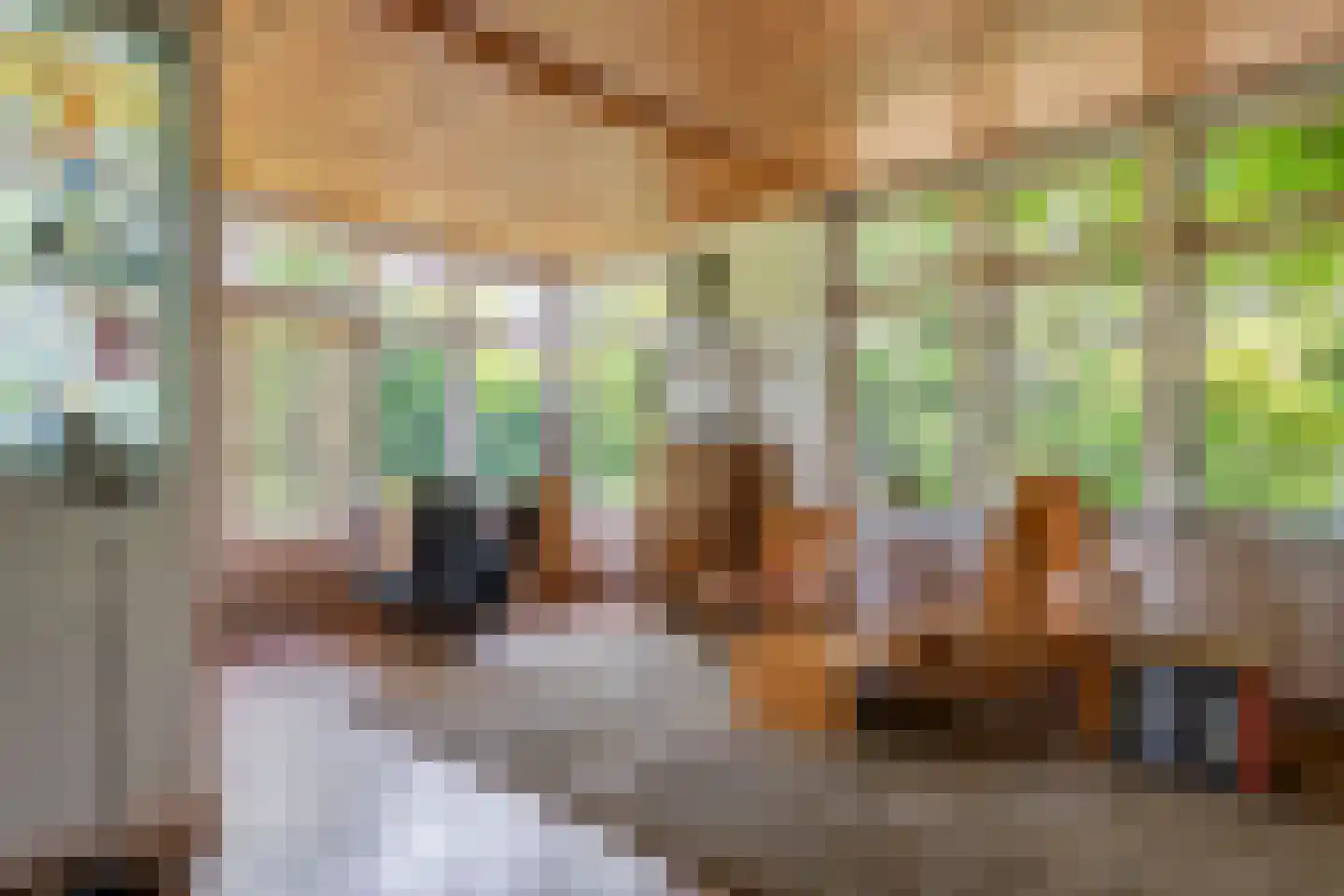 Oude Tielseweg 4 Buren thumbnail 32