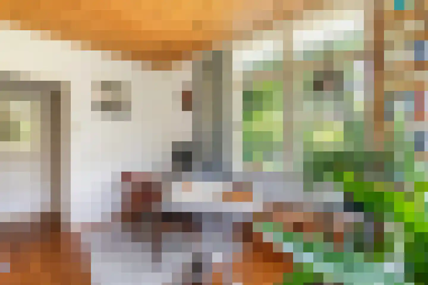Oude Tielseweg 4 Buren thumbnail 40