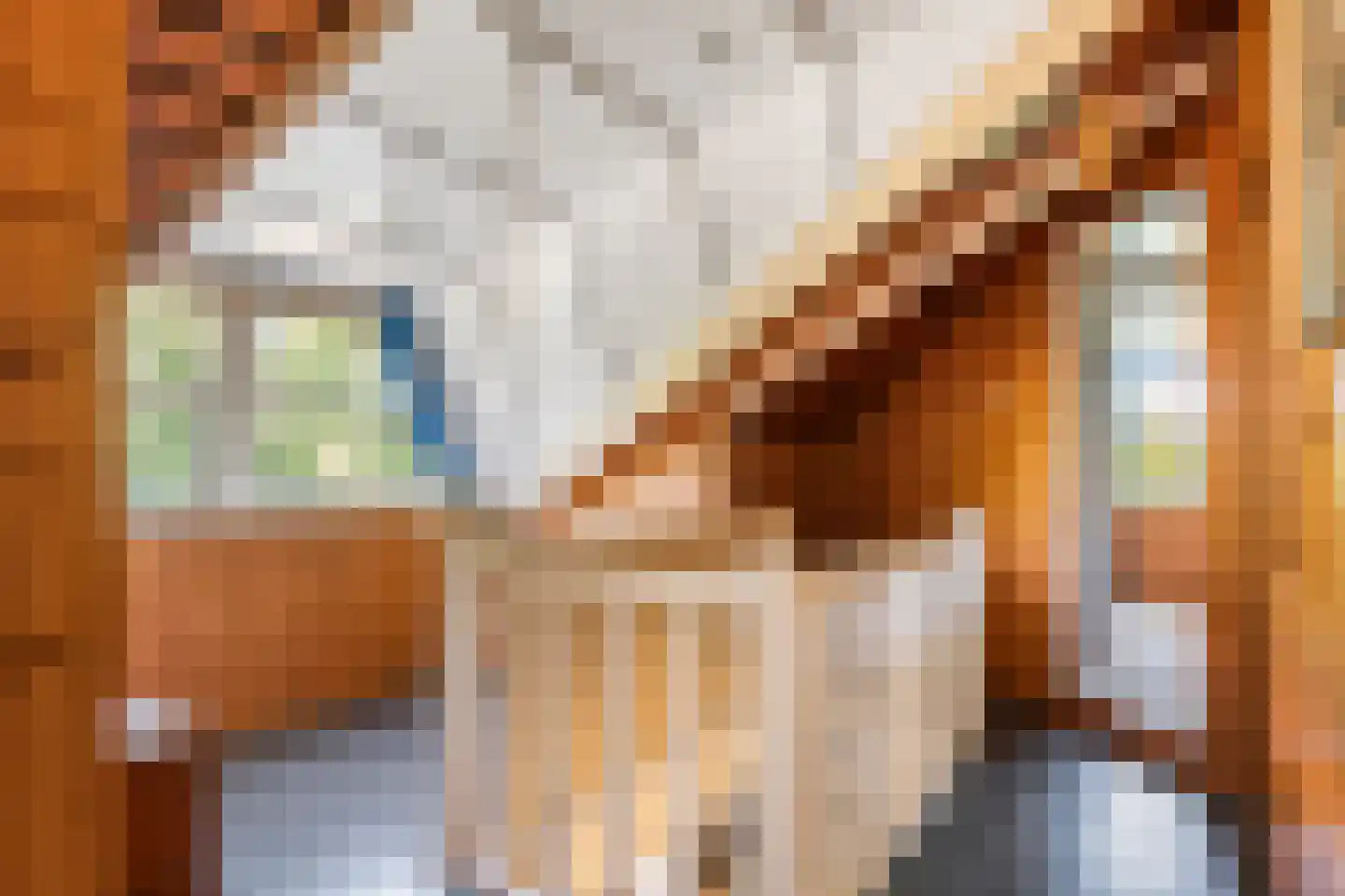 Oude Tielseweg 4 Buren thumbnail 54
