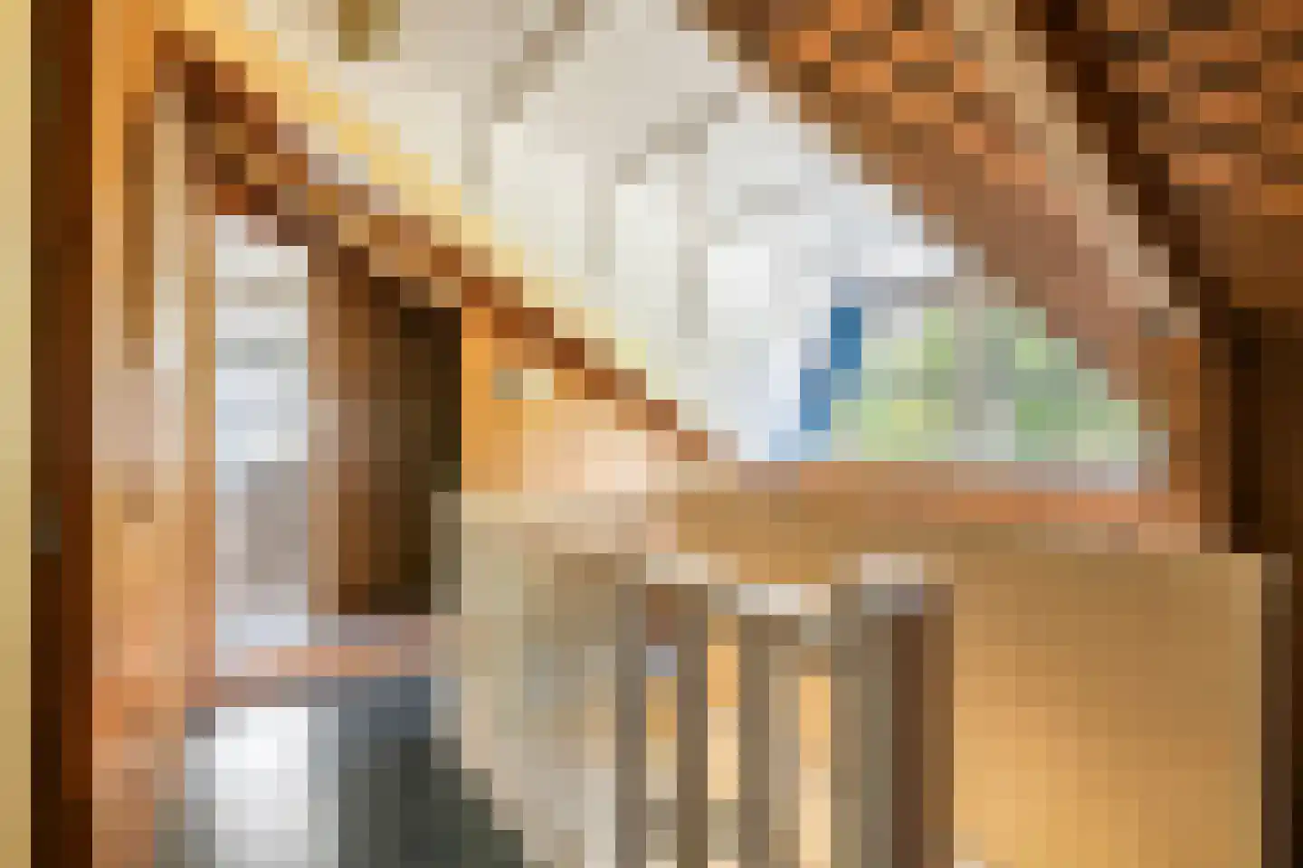 Oude Tielseweg 4 Buren thumbnail 55