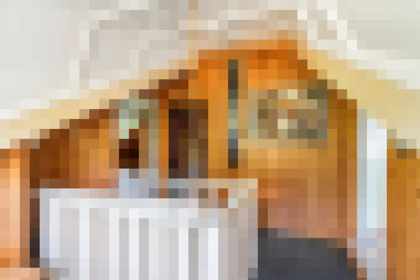 Oude Tielseweg 4 Buren thumbnail 56