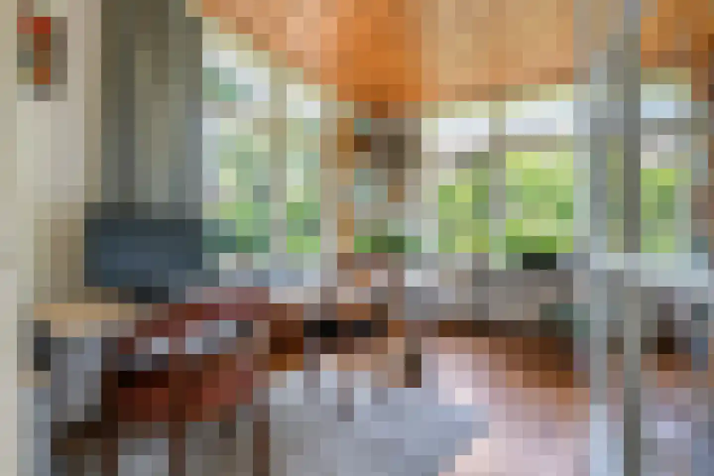 Oude Tielseweg 4 Buren thumbnail 6