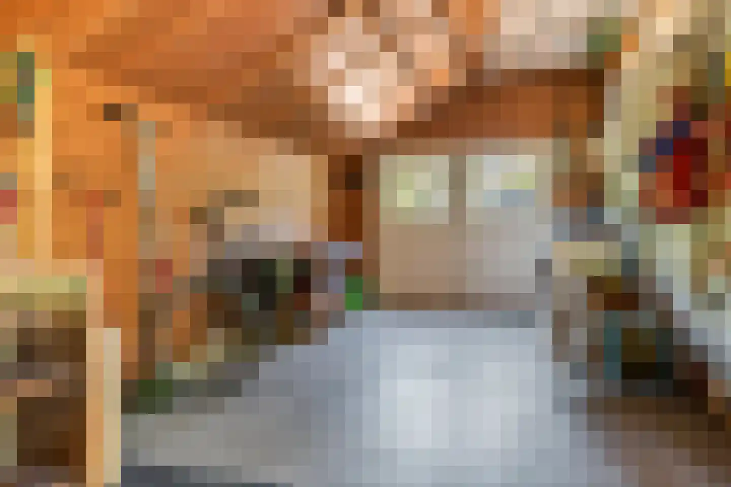 Oude Tielseweg 4 Buren thumbnail 60