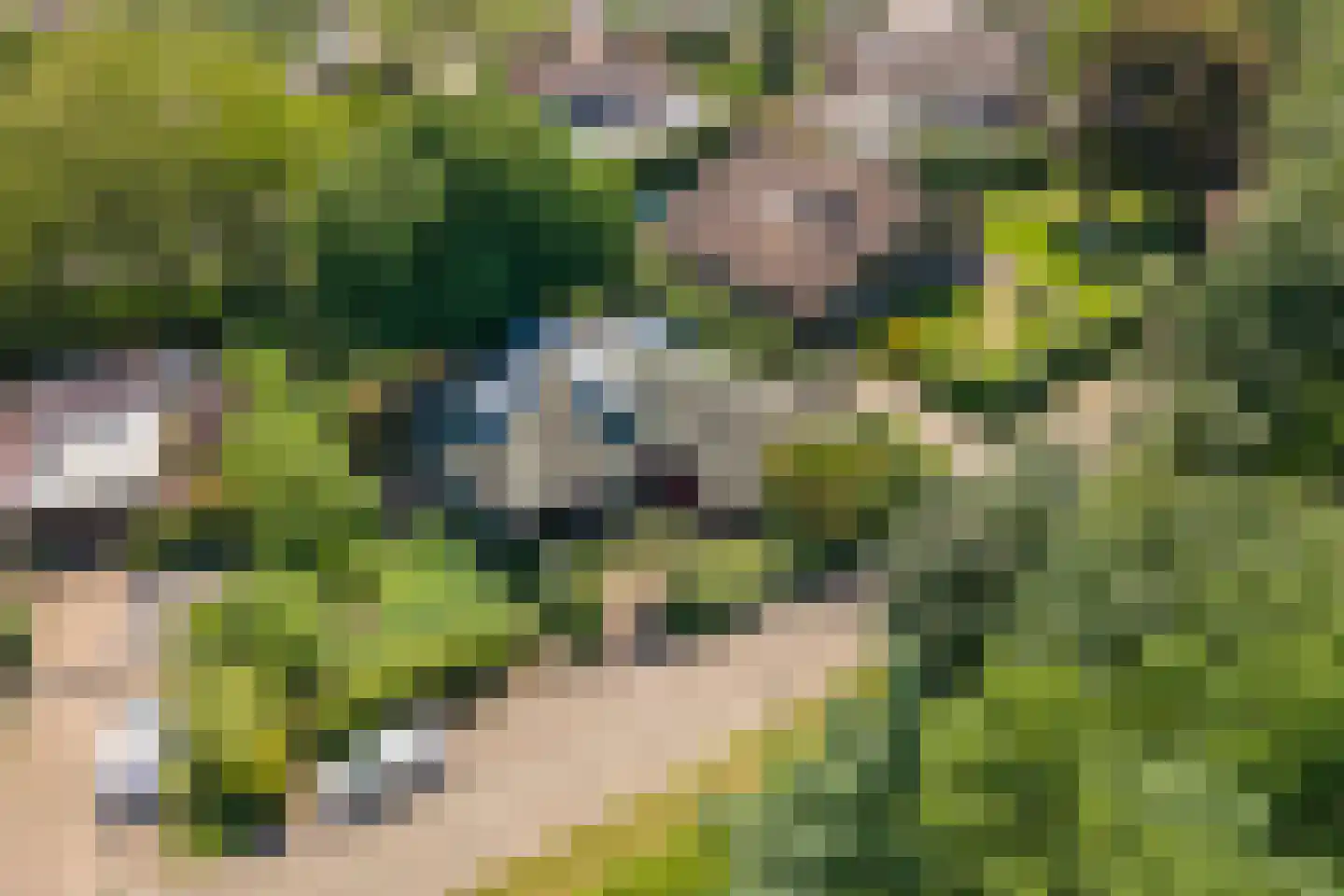 Oude Tielseweg 4 Buren thumbnail 62