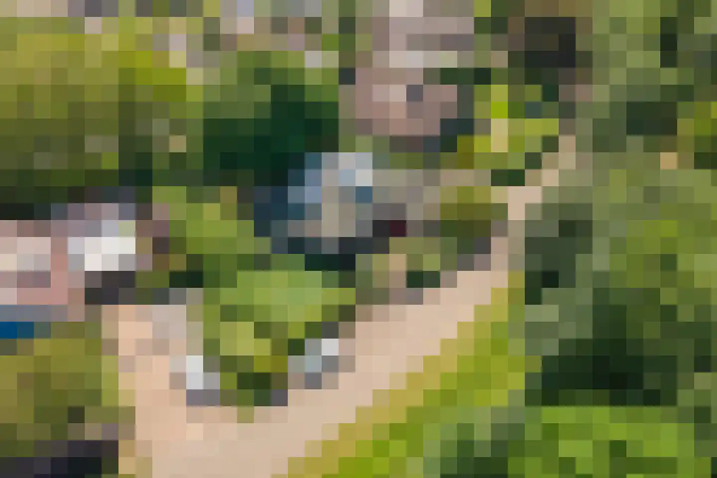 Oude Tielseweg 4 Buren thumbnail 63