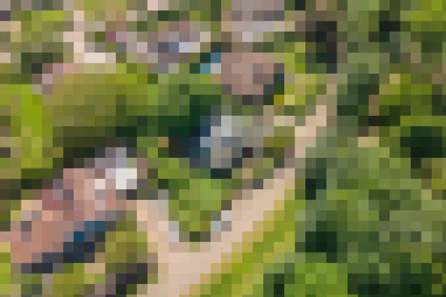 Oude Tielseweg 4 Buren thumbnail 64