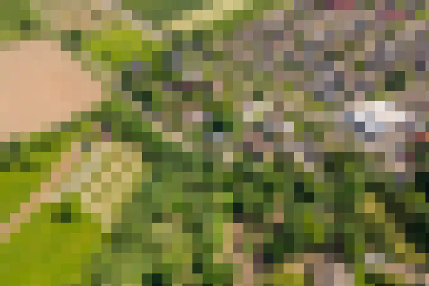 Oude Tielseweg 4 Buren thumbnail 66