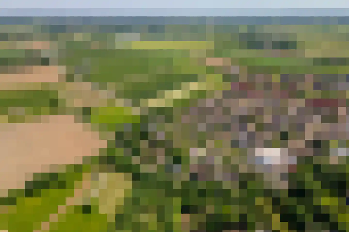 Oude Tielseweg 4 Buren thumbnail 67