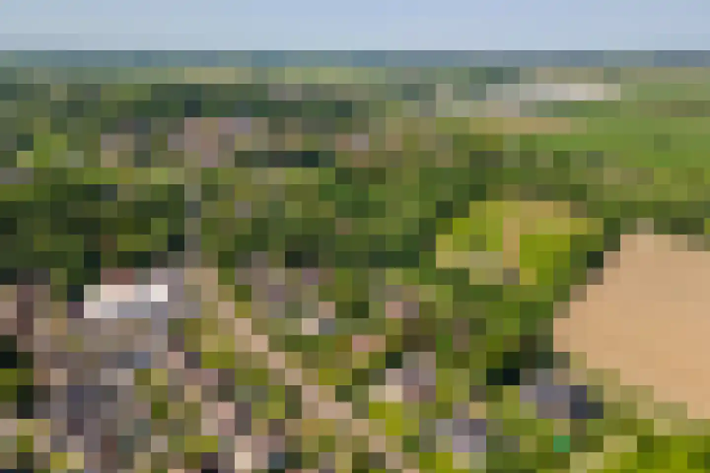 Oude Tielseweg 4 Buren thumbnail 68