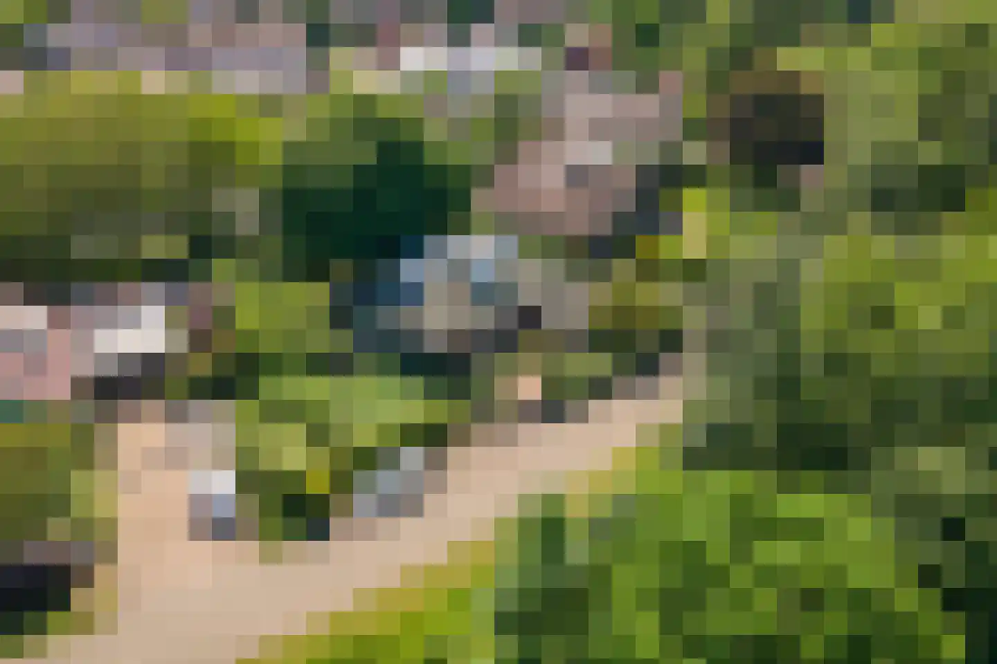 Oude Tielseweg 4 Buren thumbnail 69