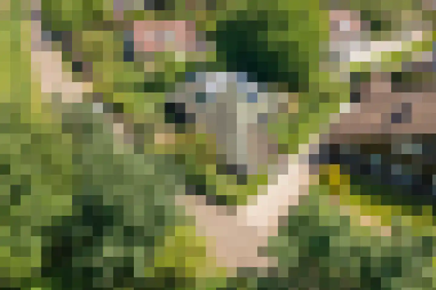 Oude Tielseweg 4 Buren thumbnail 70