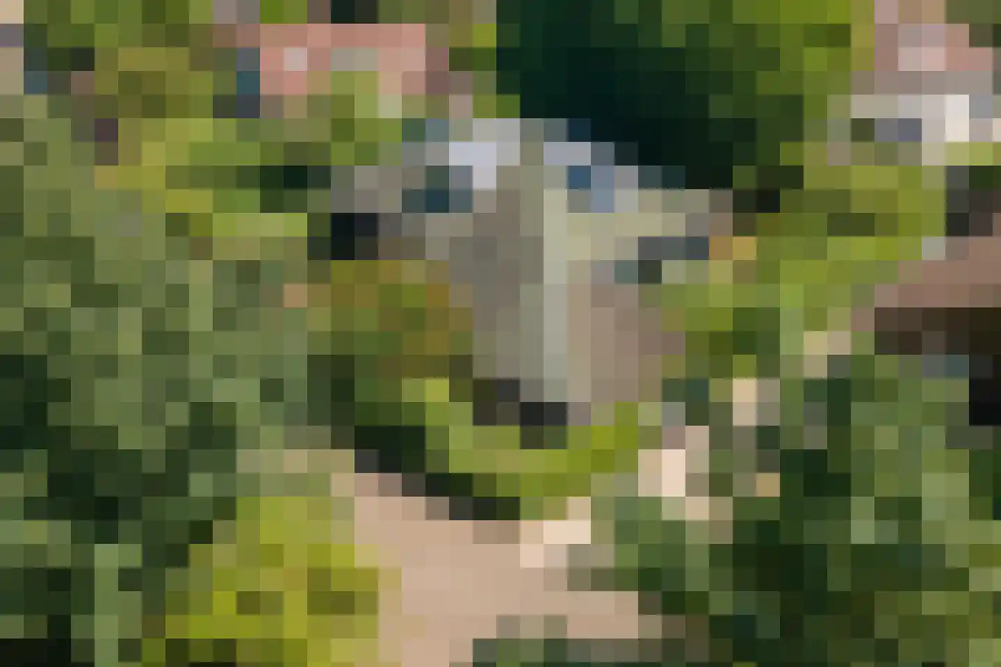 Oude Tielseweg 4 Buren thumbnail 71