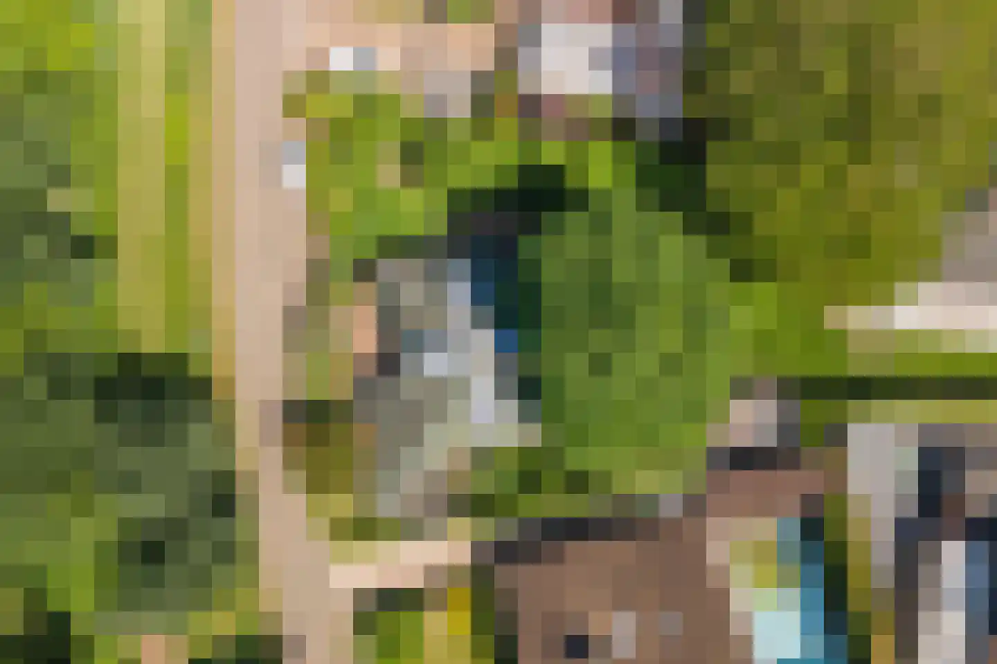 Oude Tielseweg 4 Buren thumbnail 73