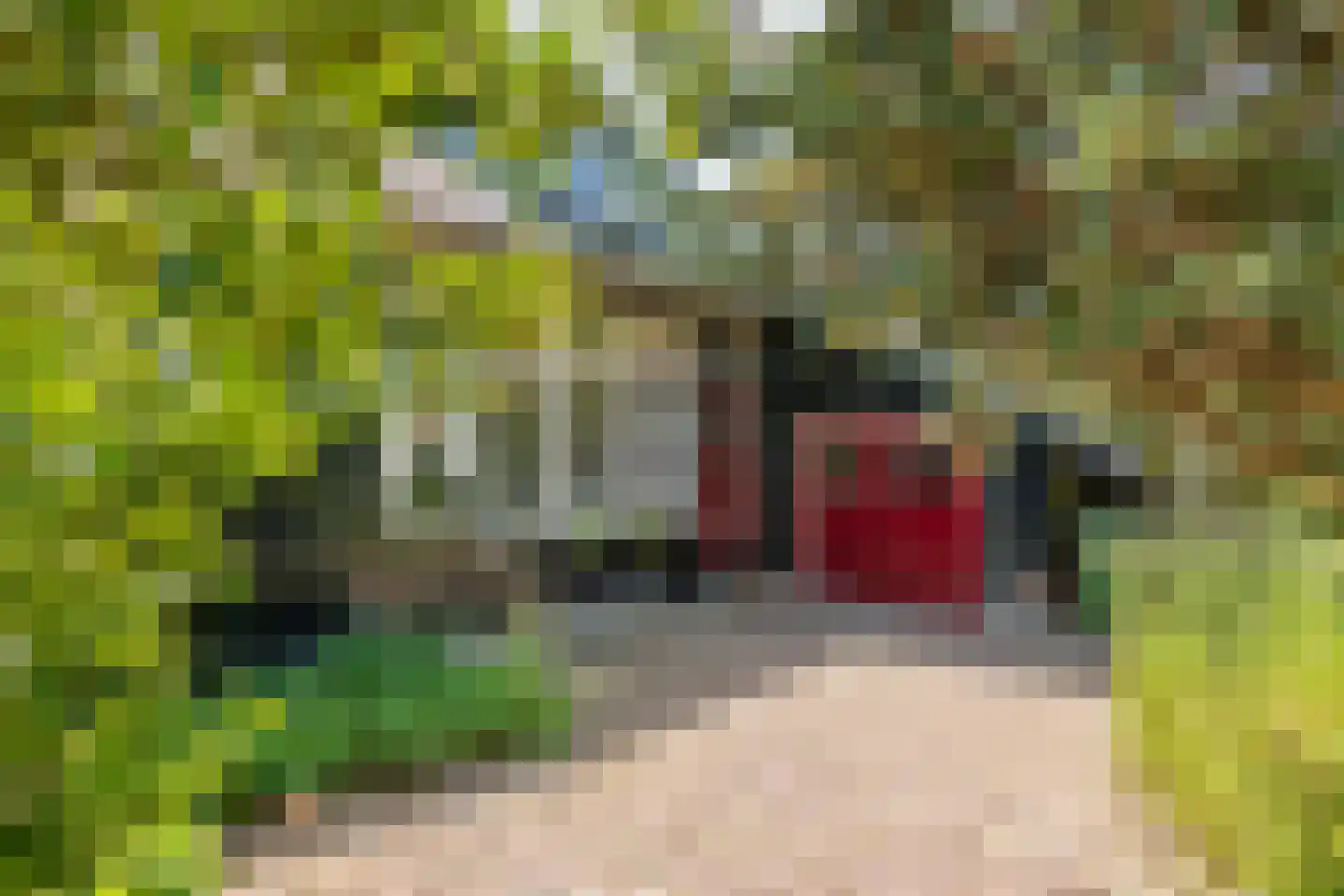 Oude Tielseweg 4 Buren thumbnail 8