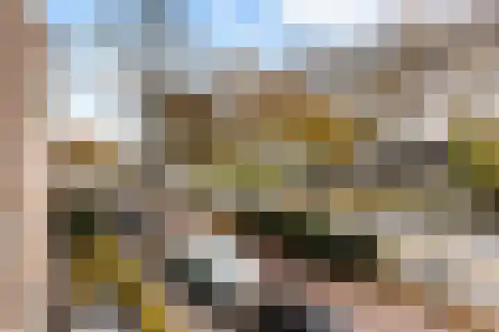 Oude Tiendweg 35 Krimpen aan den IJssel thumbnail 24
