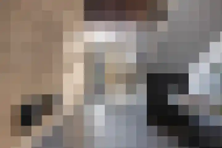 Oude Tiendweg 35 Krimpen aan den IJssel thumbnail 29