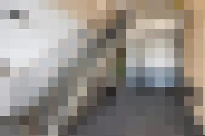 Oude Tiendweg 35 Krimpen aan den IJssel thumbnail 30