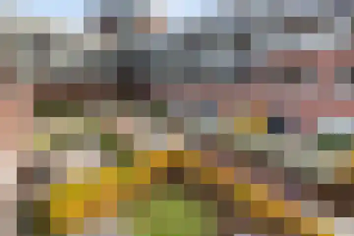 Oude Tiendweg 35 Krimpen aan den IJssel thumbnail 32