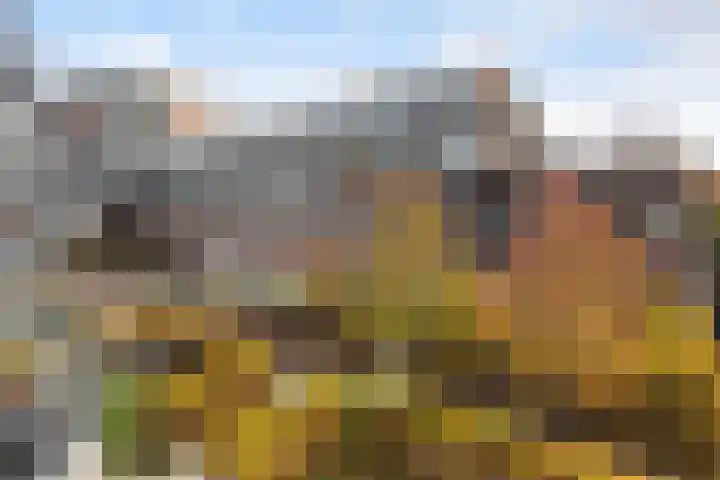 Oude Tiendweg 35 Krimpen aan den IJssel thumbnail 4